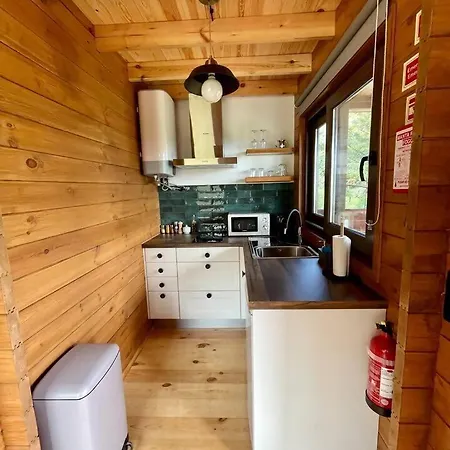 Mountain Eco Shelter 4 Lüks kamp alanı Funchal